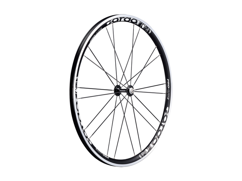 パーツ PRO-LITE Garda DS Pro Lite Garda DS wheelsets clincher user reviews : 5 out of 5 - 1