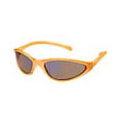 nike tarj rd sunglasses